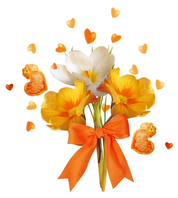 fleurs,flores,flowers,bloemen,png