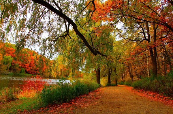 automne,autumn,paysage,