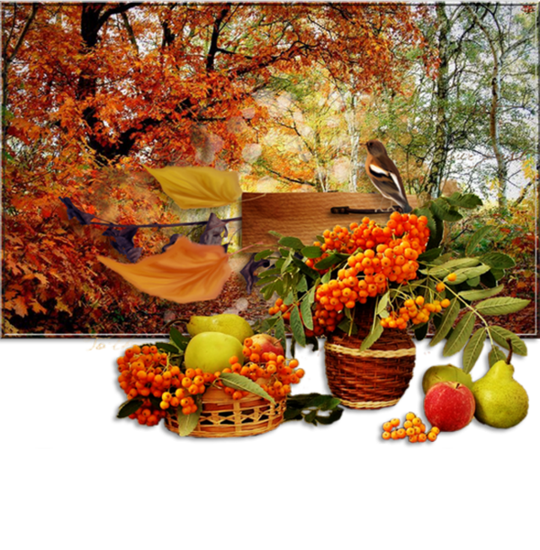 automne,paysage,fall,autumn