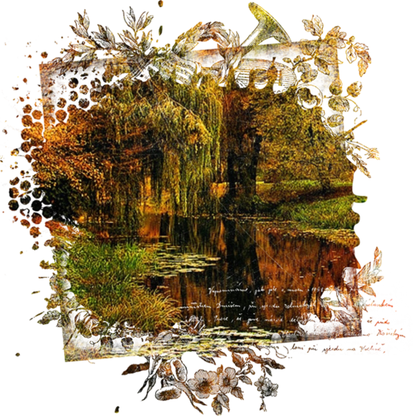 automne,autumn,paysage,