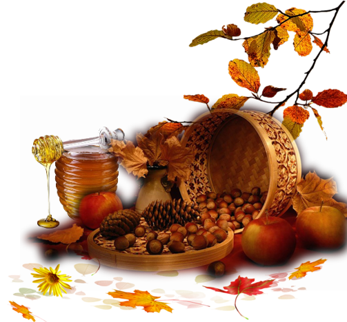 automne,autumn