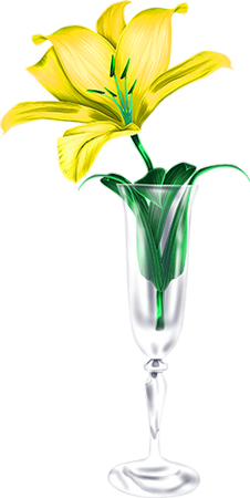 tubes fleurs,png fleurs,bouquets de fleurs,flowers,psp