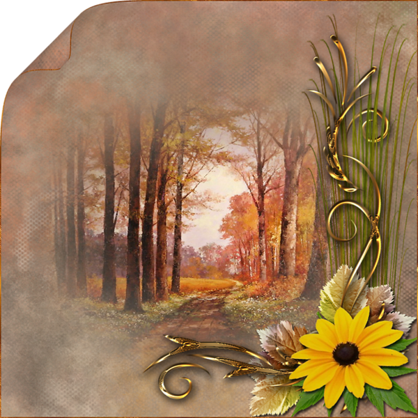 automne,autumn,paysage,