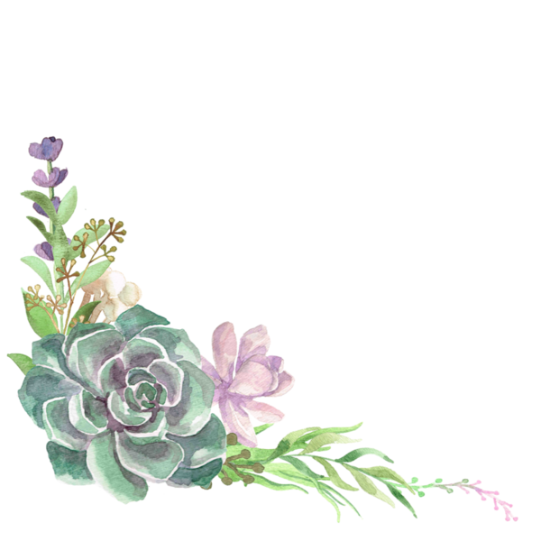 clipart gratuit bordure fleurs en