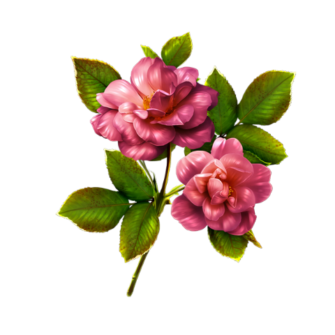 tubes fleurs,png fleurs,bouquets de fleurs,flowers,psp