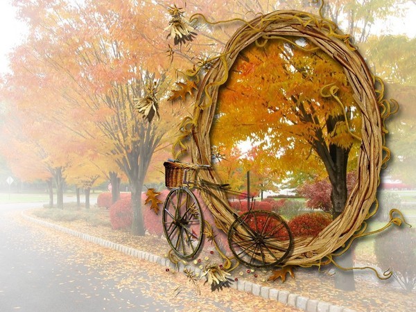 automne,paysage,fall,autumn