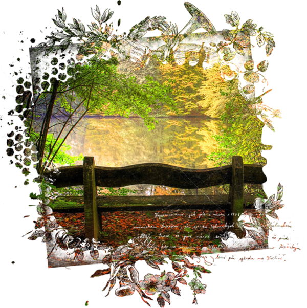 automne,autumn,paysage,