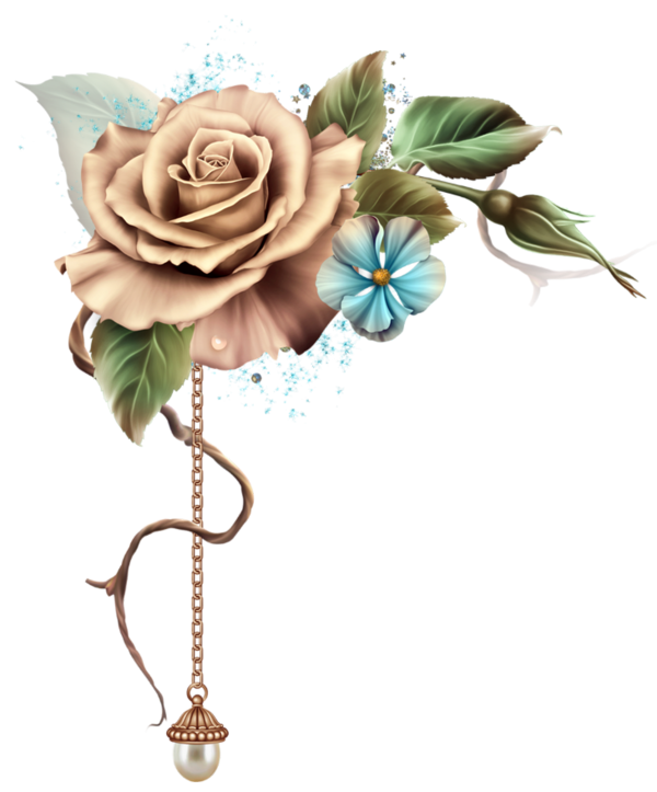 roses,pink,roze,rosa,fleur