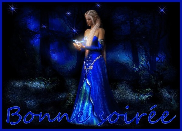bonne soiree