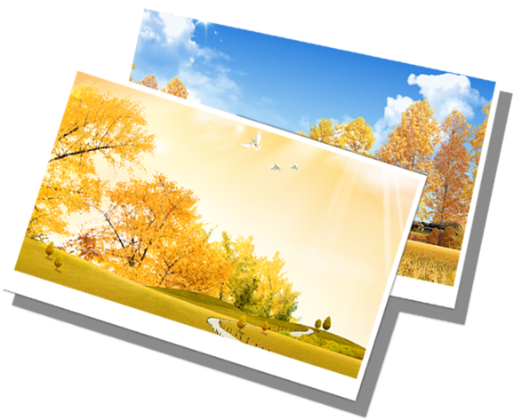 automnes,autumn,outono