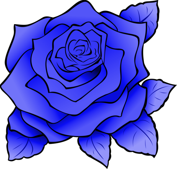 roses,pink,roze,rosa,