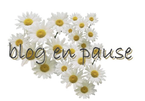 blog en pause