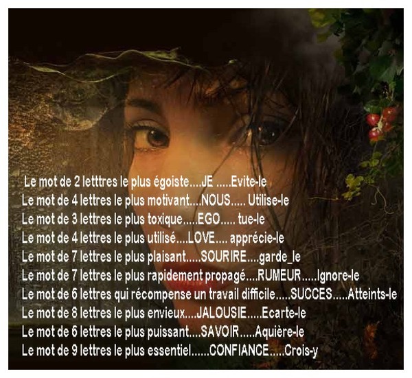 Amitie Tendresse