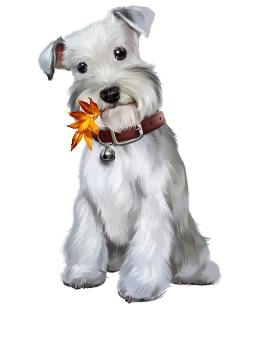 chiens,dog,puppies,wallpapers