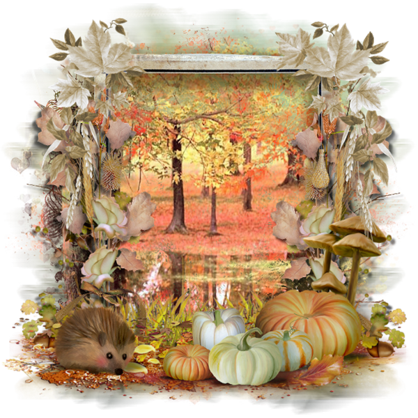 automne,autumn,paysage,