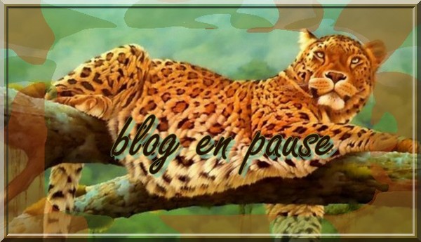 blog en pause