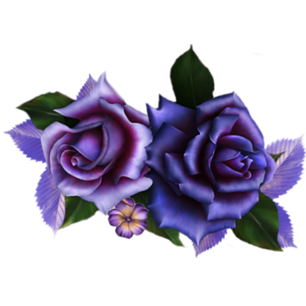 roses,pink,roze,rosa,fleur