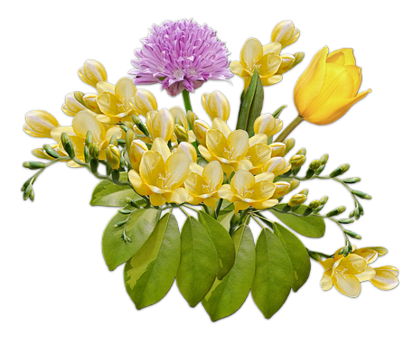 tubes fleurs,png fleurs,bouquets de fleurs,flowers,psp