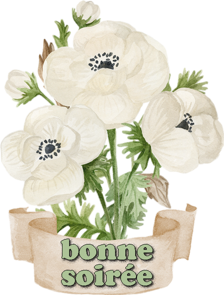 bonne soiree,tube,cliparts,vecteurs,png,psp