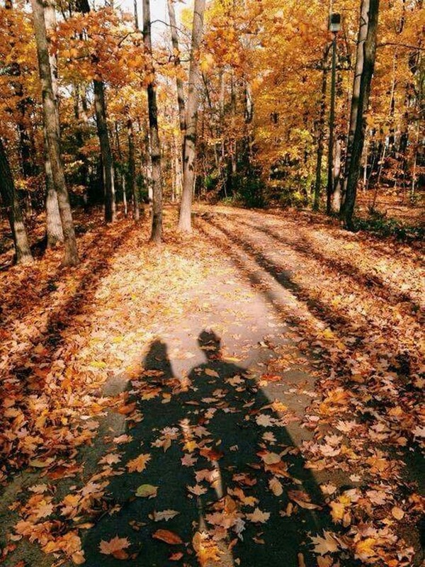 automne,autumn,paysage,