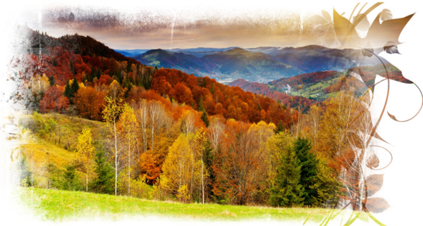 automne,paysage,fall,autumn