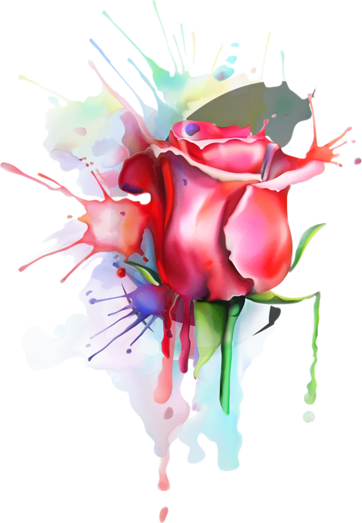 roses,pink,roze,rosa,fleur