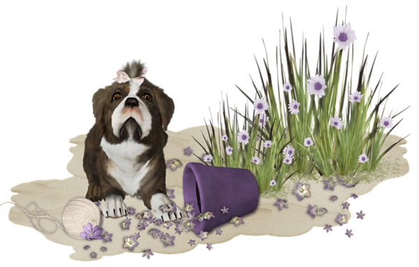 chiens,dog,puppies,wallpapers