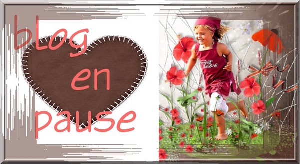 blog en pause