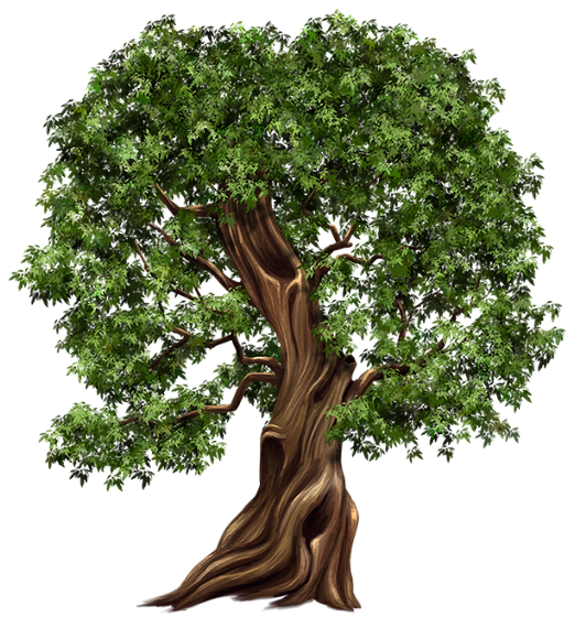 Tube Arbretreeclipartvectorpng Arbrespsp