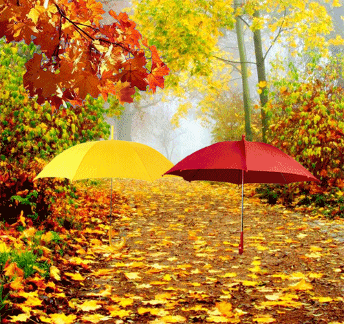 automnes,autumn,outono
