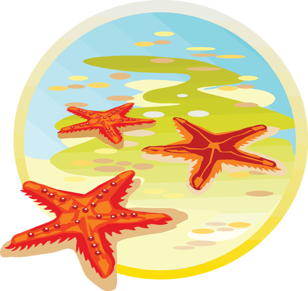 Afficher limage dorigine