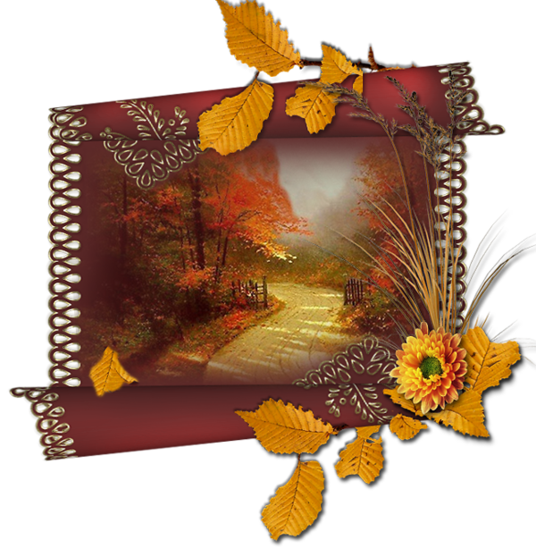 automne,autumn,paysage,