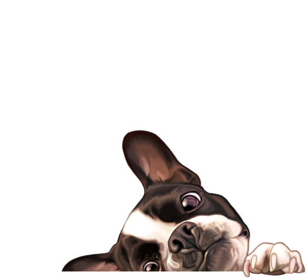 chiens,dog,puppies,wallpapers