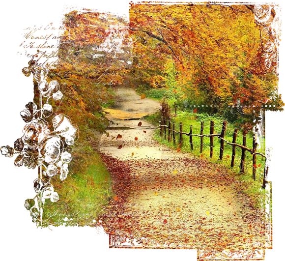 automne,autumn,paysage,