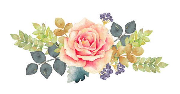 roses,pink,roze,rosa,fleur