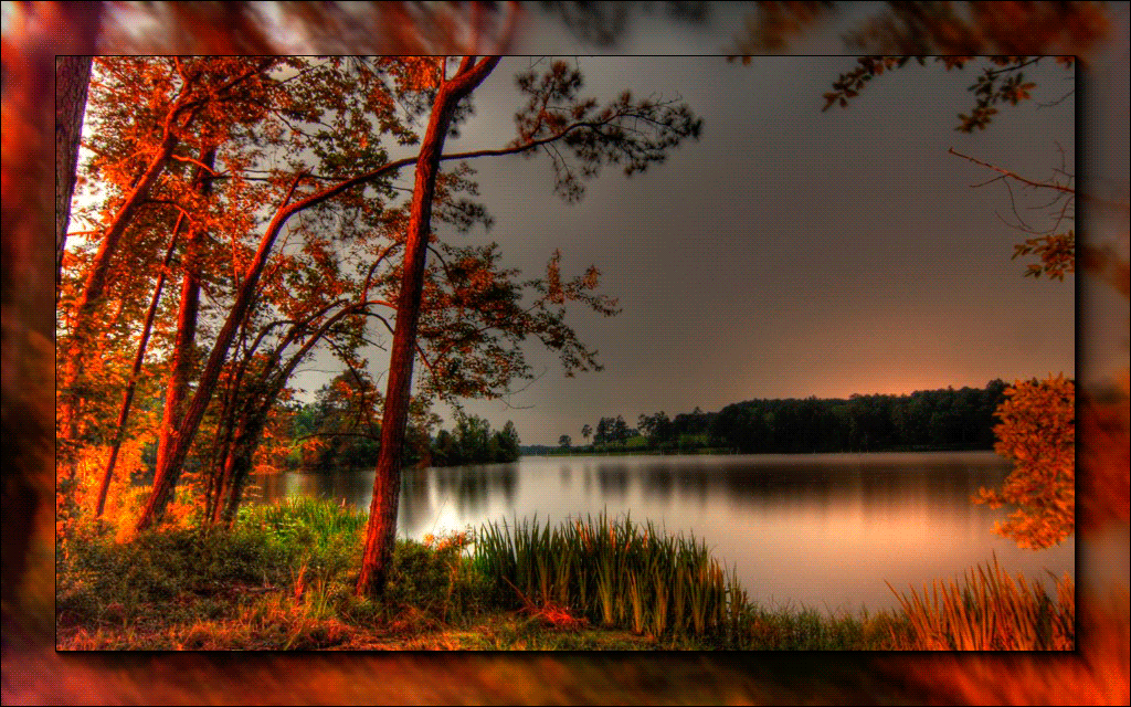automne,autumn,paysage,