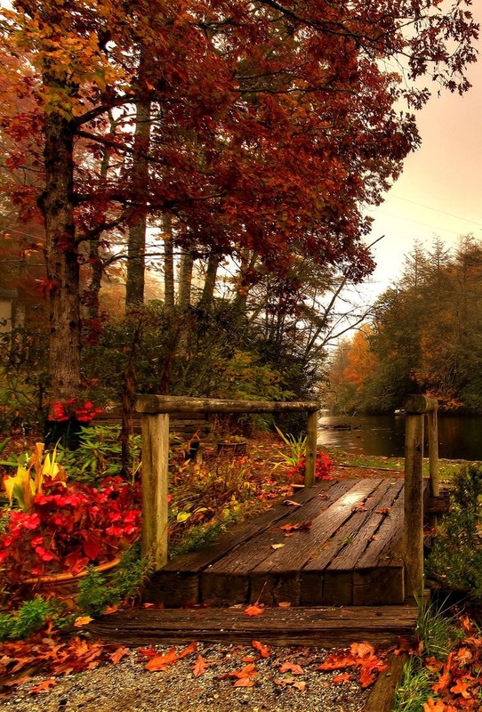 automne,autumn,paysage,