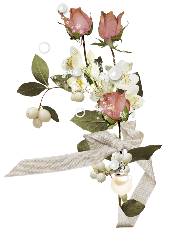 roses,pink,roze,rosa,