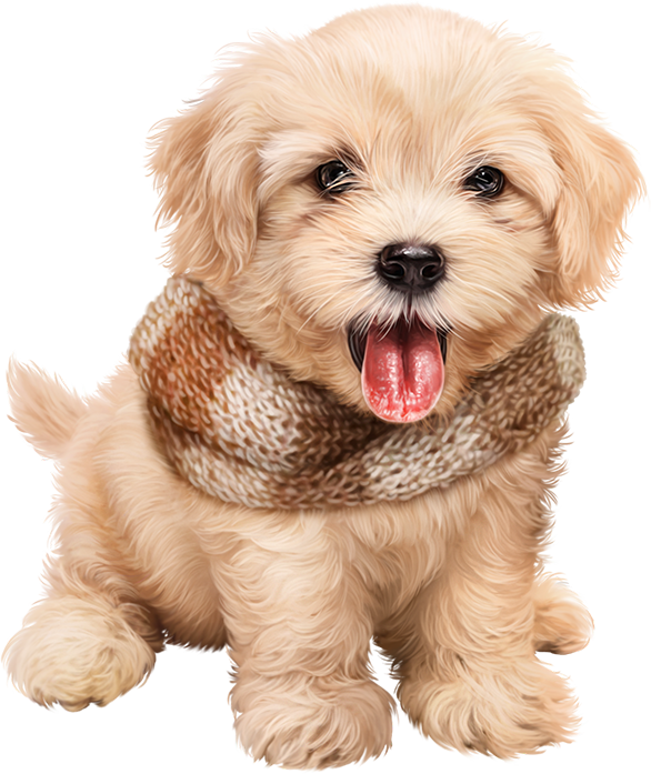 chiens,dog,puppies,wallpapers