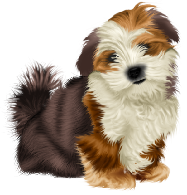 chiens,dog,puppies,wallpapers