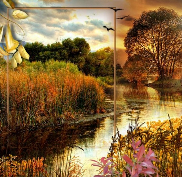 automne,autumn,paysage,