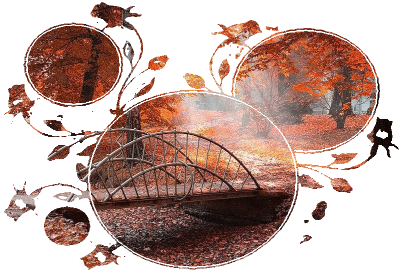 automnes,autumn,outono