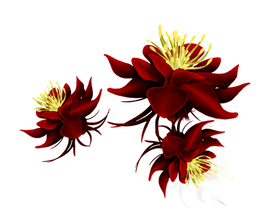tubes fleurs,png fleurs,bouquets de fleurs,flowers,psp