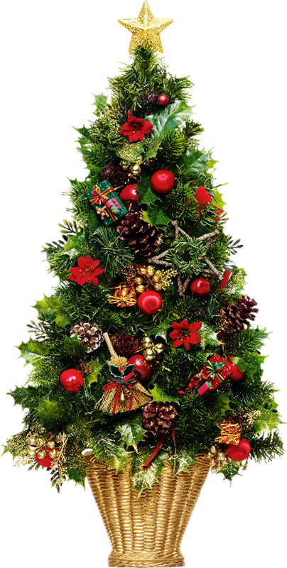 sapin de noel