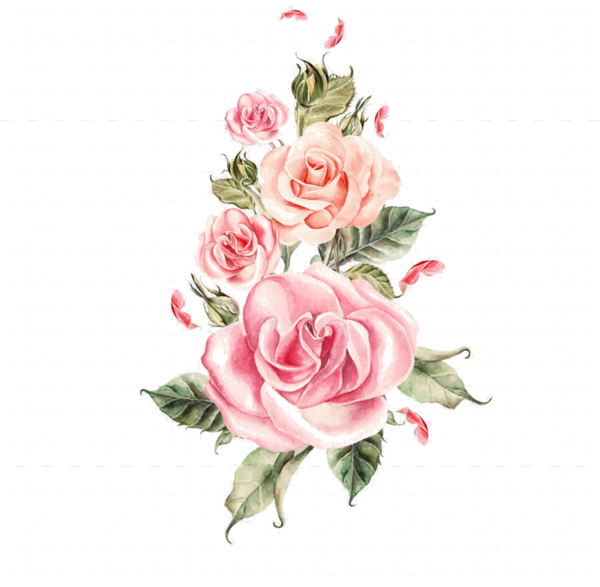 roses,pink,roze,rosa,fleur