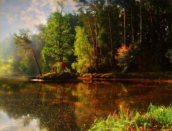 automnes,autumn,outono