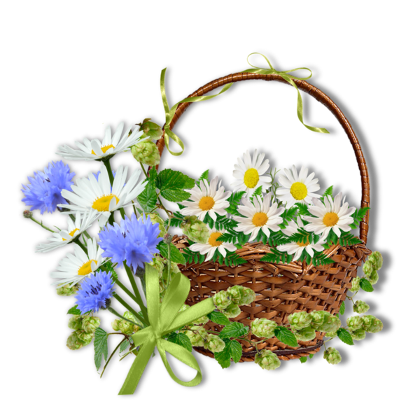 fleurs,flores,flowers,bloemen,png