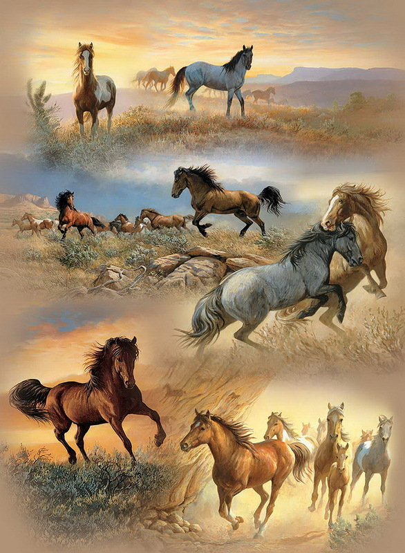 Chevaux, Cheval,Pferde,caballos,cavalos,horses,hest,