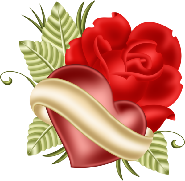 roses,pink,roze,rosa,fleur