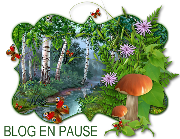 blog en pause